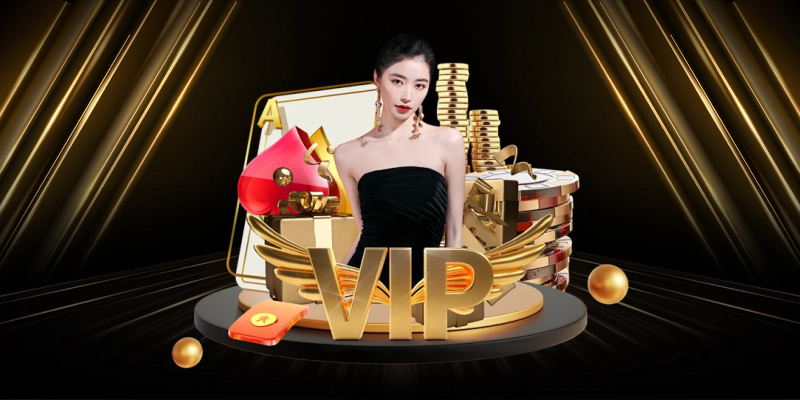 Tổng Quan Về Chính Sách Hoàn Trả 55win